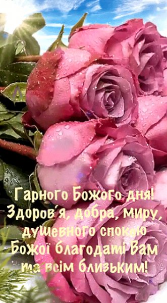 GIF-be5df3160699dea255bb34ae08d19fc2