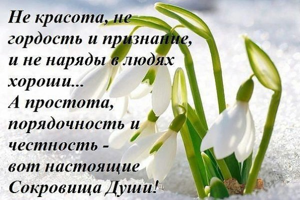 IMG 20160610 204016 51