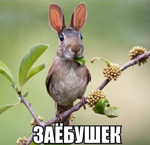 file_82267261