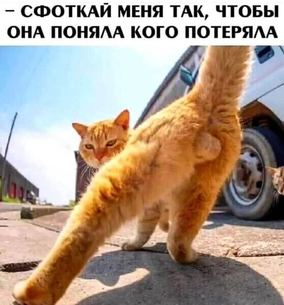 FB IMG 1756753773791