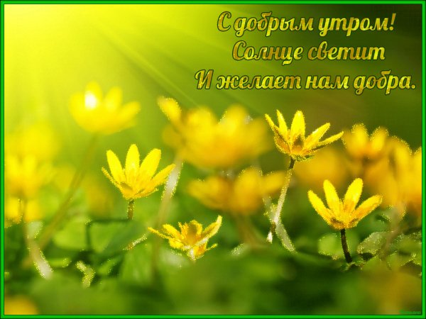 IMG 20190327 452380
