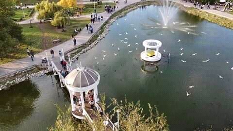 FB IMG 16032760908377343