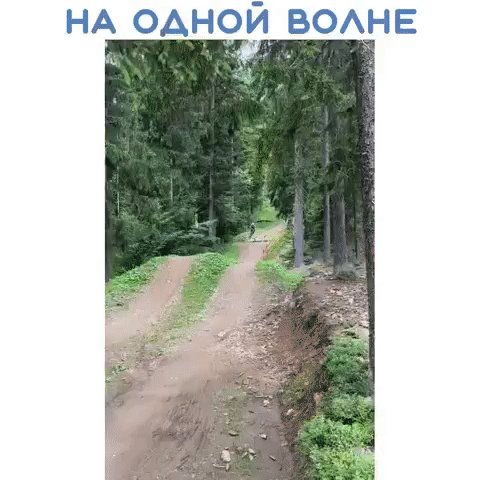 IMG 20221020 210528