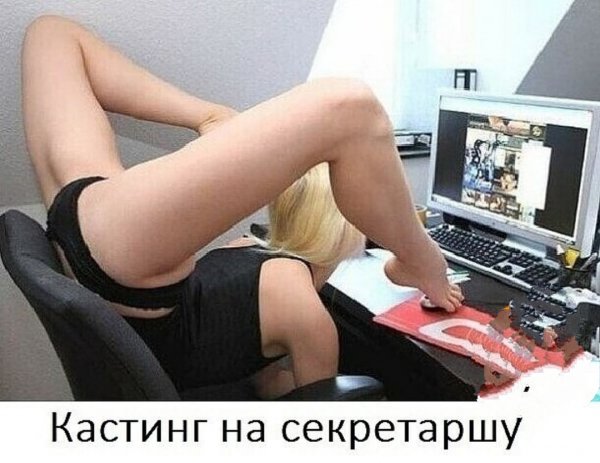 file_88183495