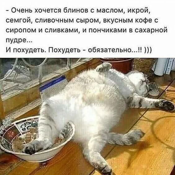FB IMG 1762246983984