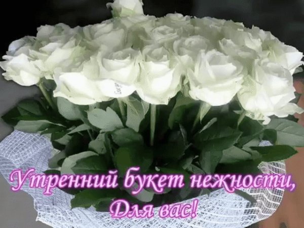 utrennrozy
