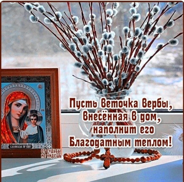 IMG 20230409 211155