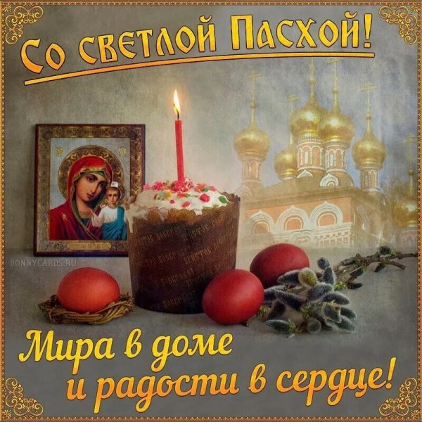 IMG 20220424 105240