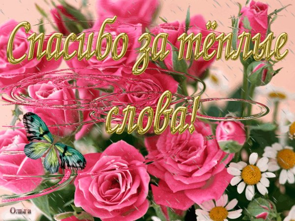 IMG 20171219 210656 65