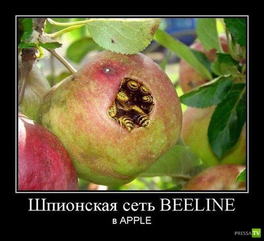 file_78480523