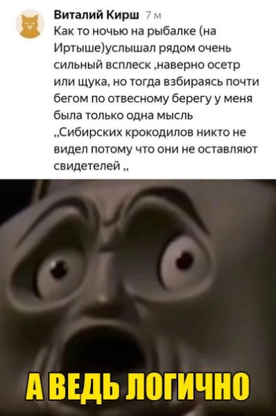 file_82045377
