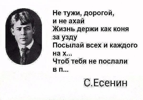 IMG 20180803 110329