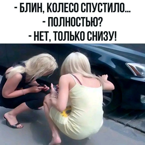 file_103265947