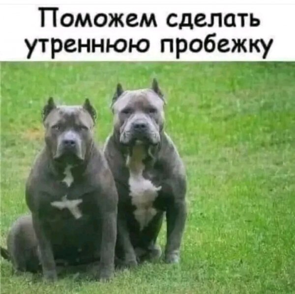 file_103264753