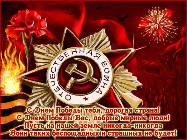 сайт224