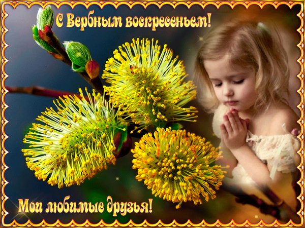 file_77340183
