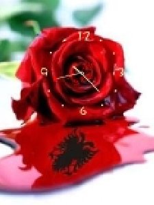 Roza
