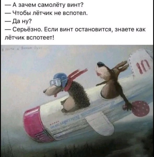 file_103265975