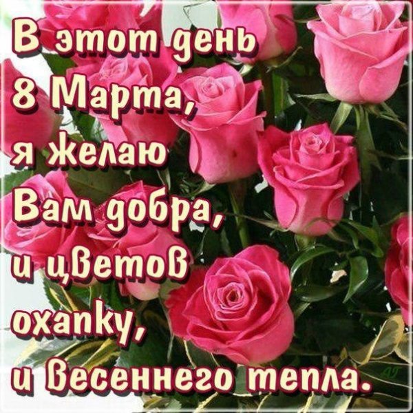 b009bcb
