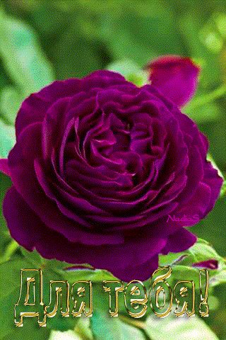 file_72775265