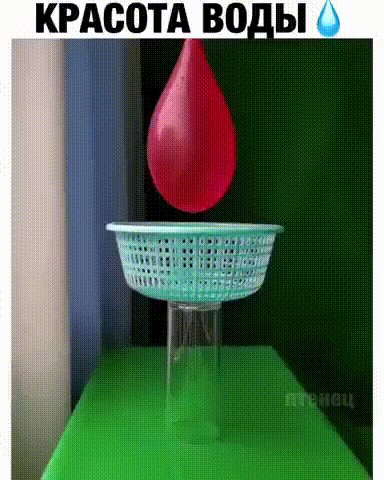 gif 1612766144