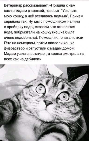 file_103555556