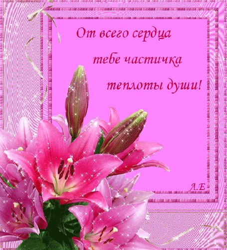 0 bb0b7 3e6cd3a L