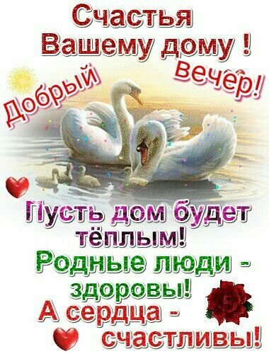 Добрый вечер