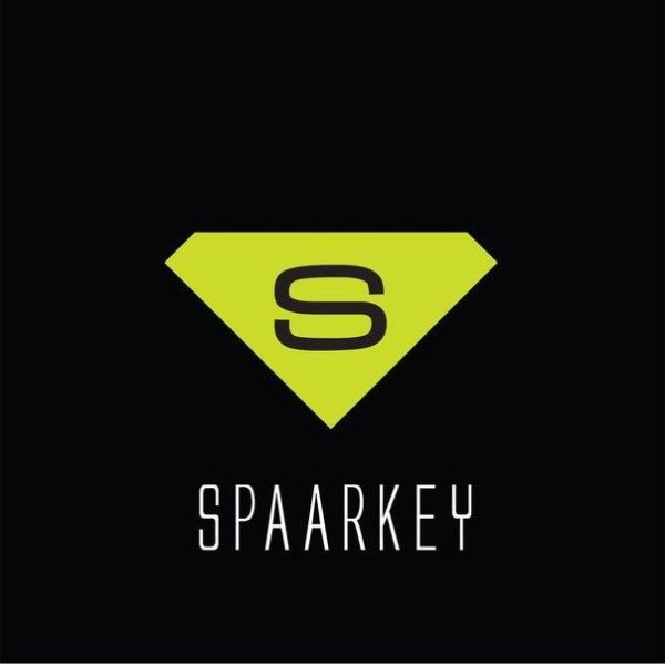 Spaarkey - Last Chance