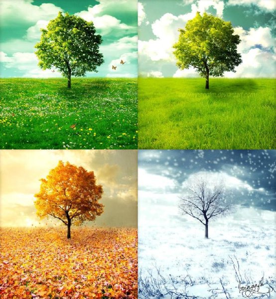 Budapest Strings - The Four Seasons