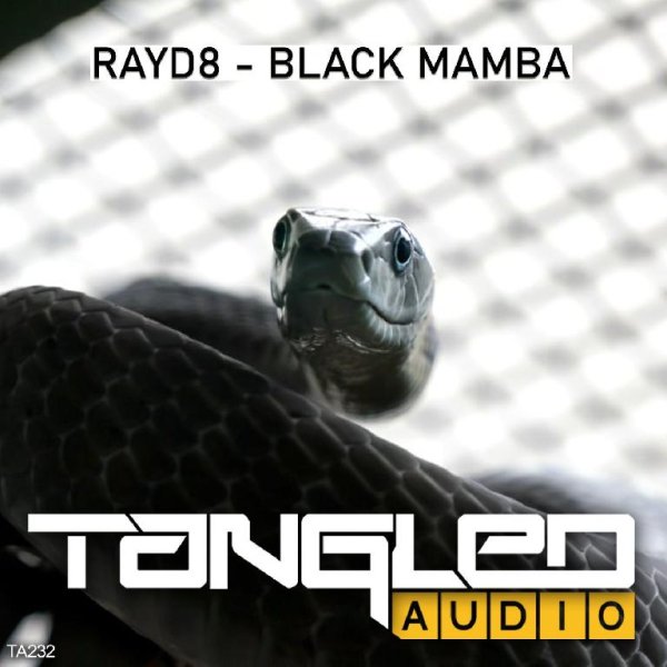 Rayd8 - Black Mamba (Original Mix)