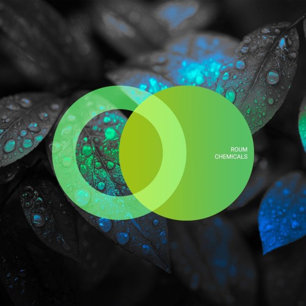 Roum - Chemicals (Original Mix)