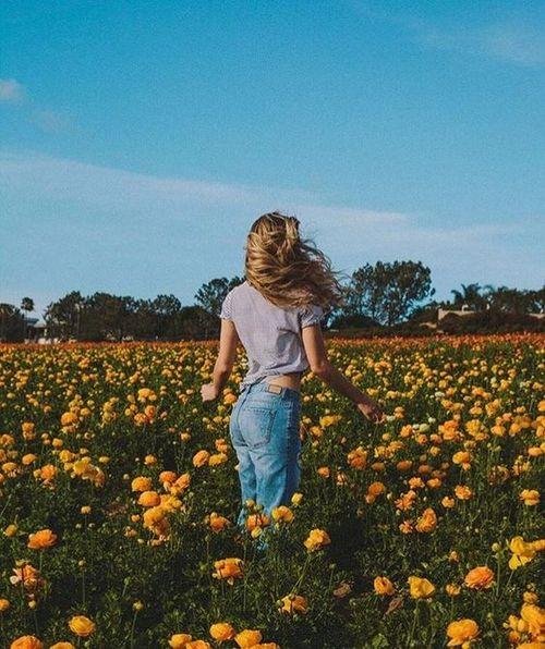 Tokyo Police Club - PCH
