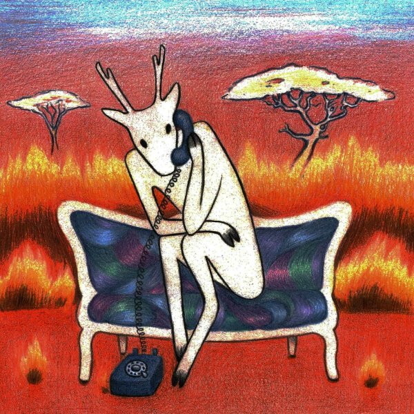 tartara rusa - Кости съеденных оленей
