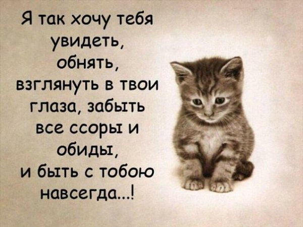 Jdmdnddj