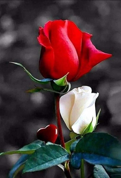 FB IMG 1607356733141