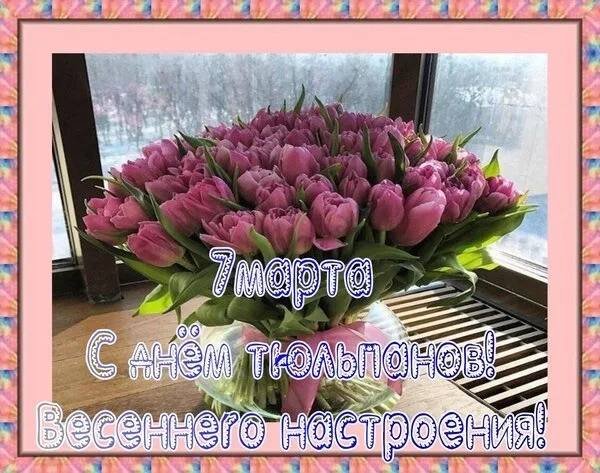 С Днём Тюльпанов