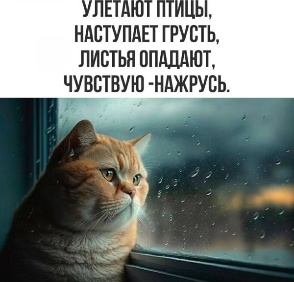 Настроение )