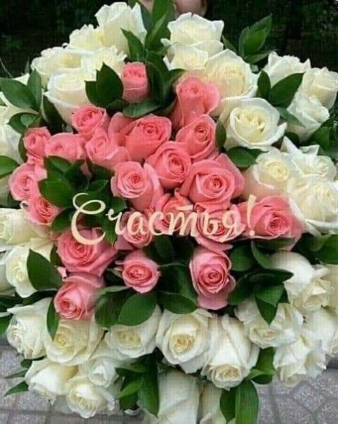 FB IMG 1607356508321