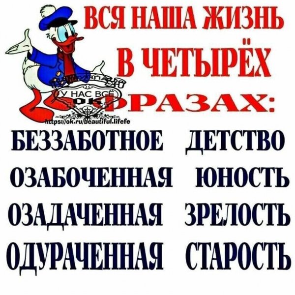 image (3) (23)