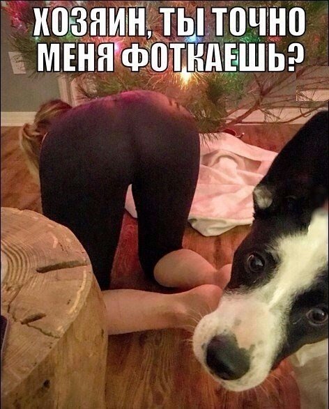 picture_237694441
