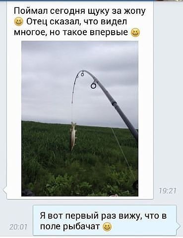 image11