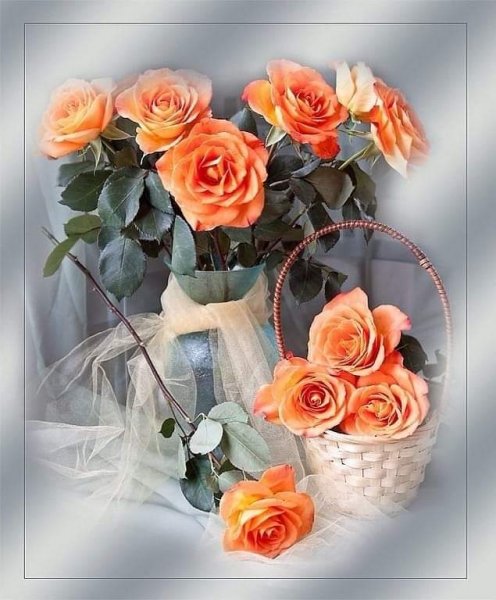 FB IMG 1609479080956