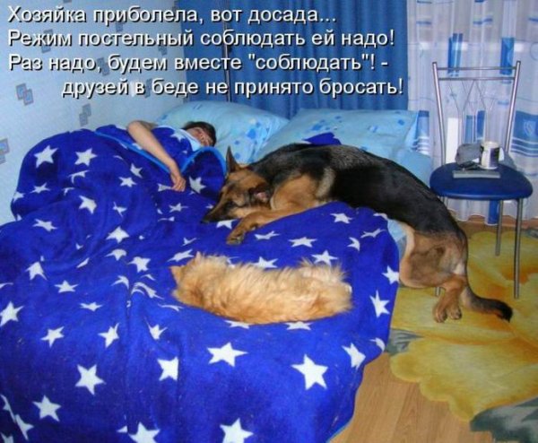 Не принято бросать!