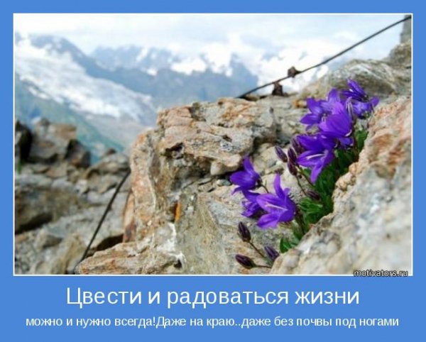 Даже на краю...