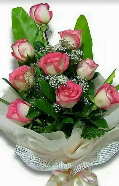 FB IMG 1607554404937