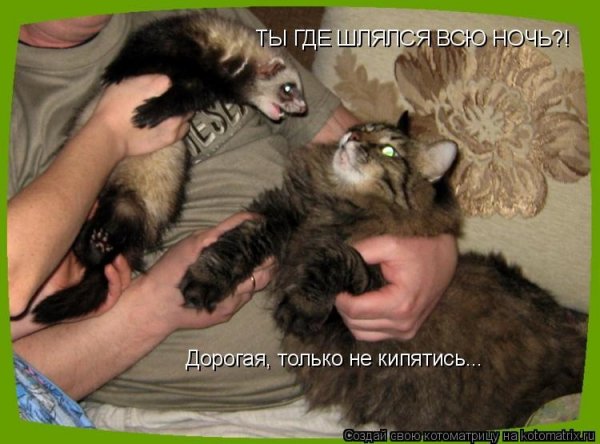 Только не кипятись....