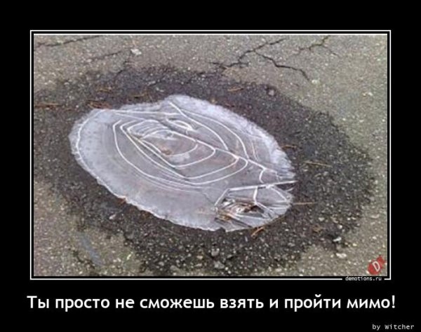 picture_399437267