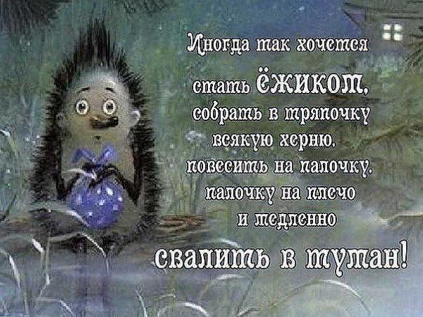 0 Ёжик в тумане