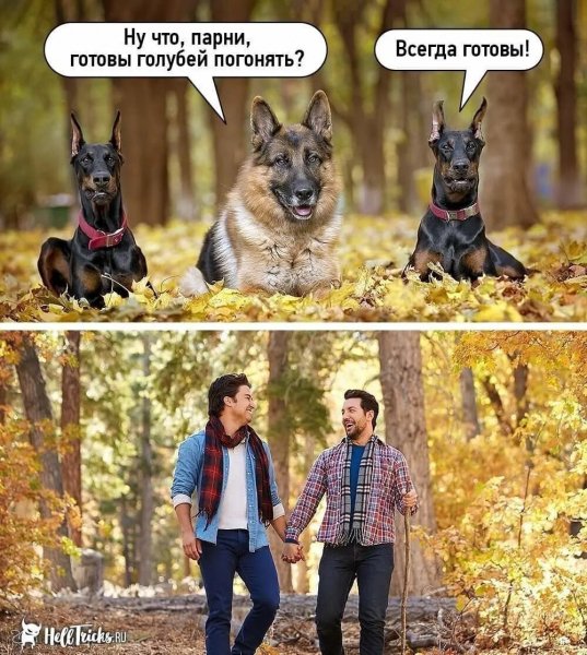 Юмор